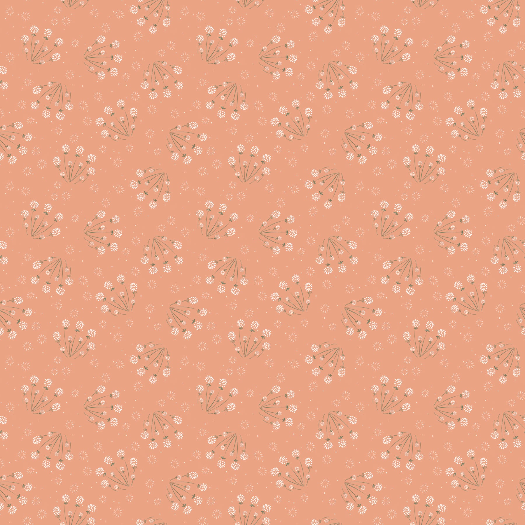 Golden Hour Dandelions Peach