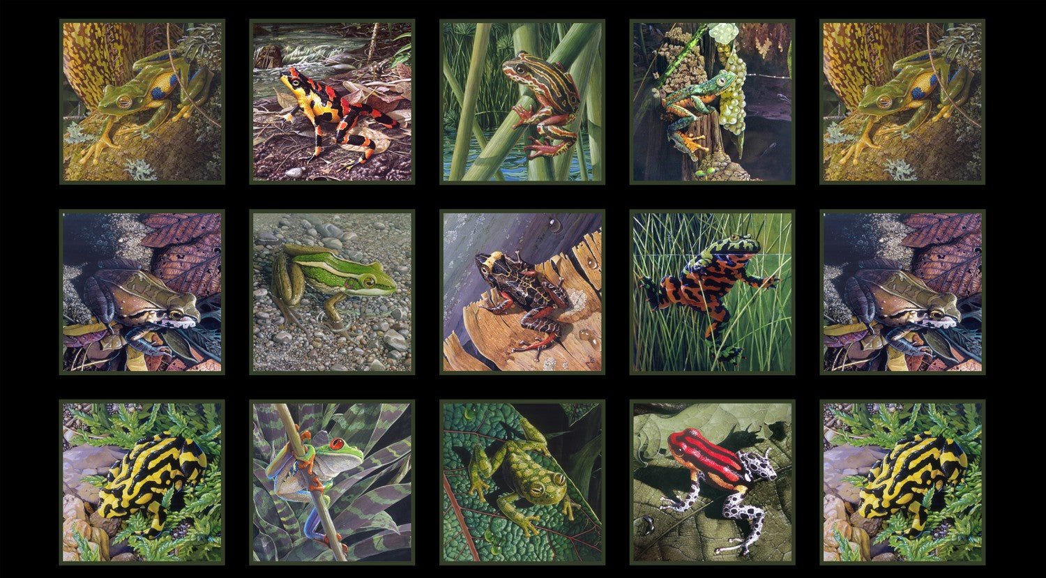Elizabeth's StudioAmazing Frogs Fabric Panel BlackFabric Panel