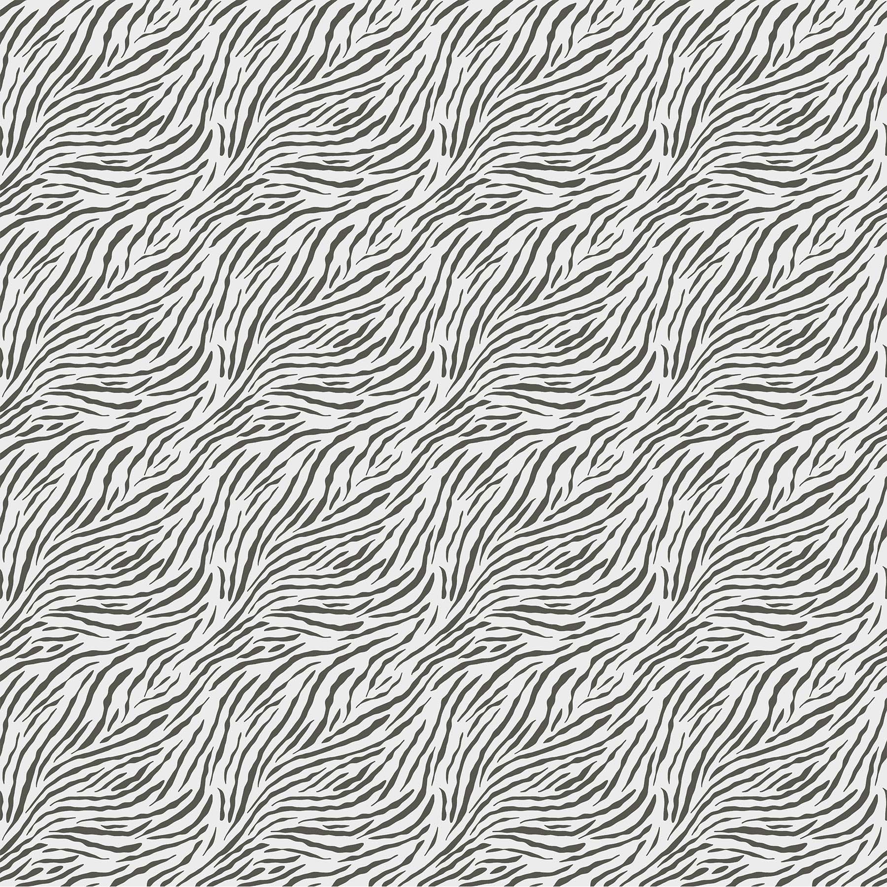NorthcottBaby Safari Quilt Fabric Zebra Print WhiteFabric