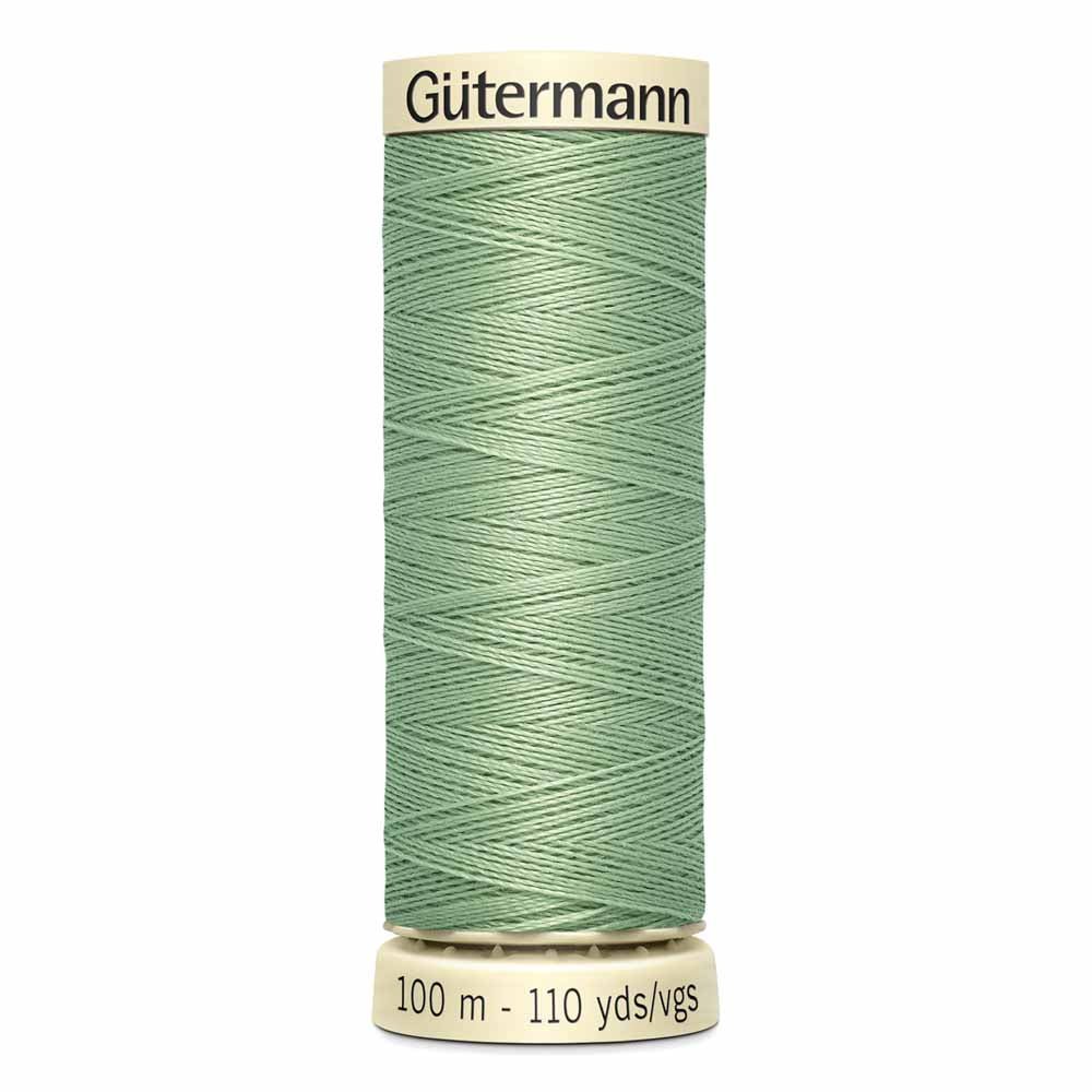 Gütermann100m Sew - all Thread 725 Lima BeanThread & Floss