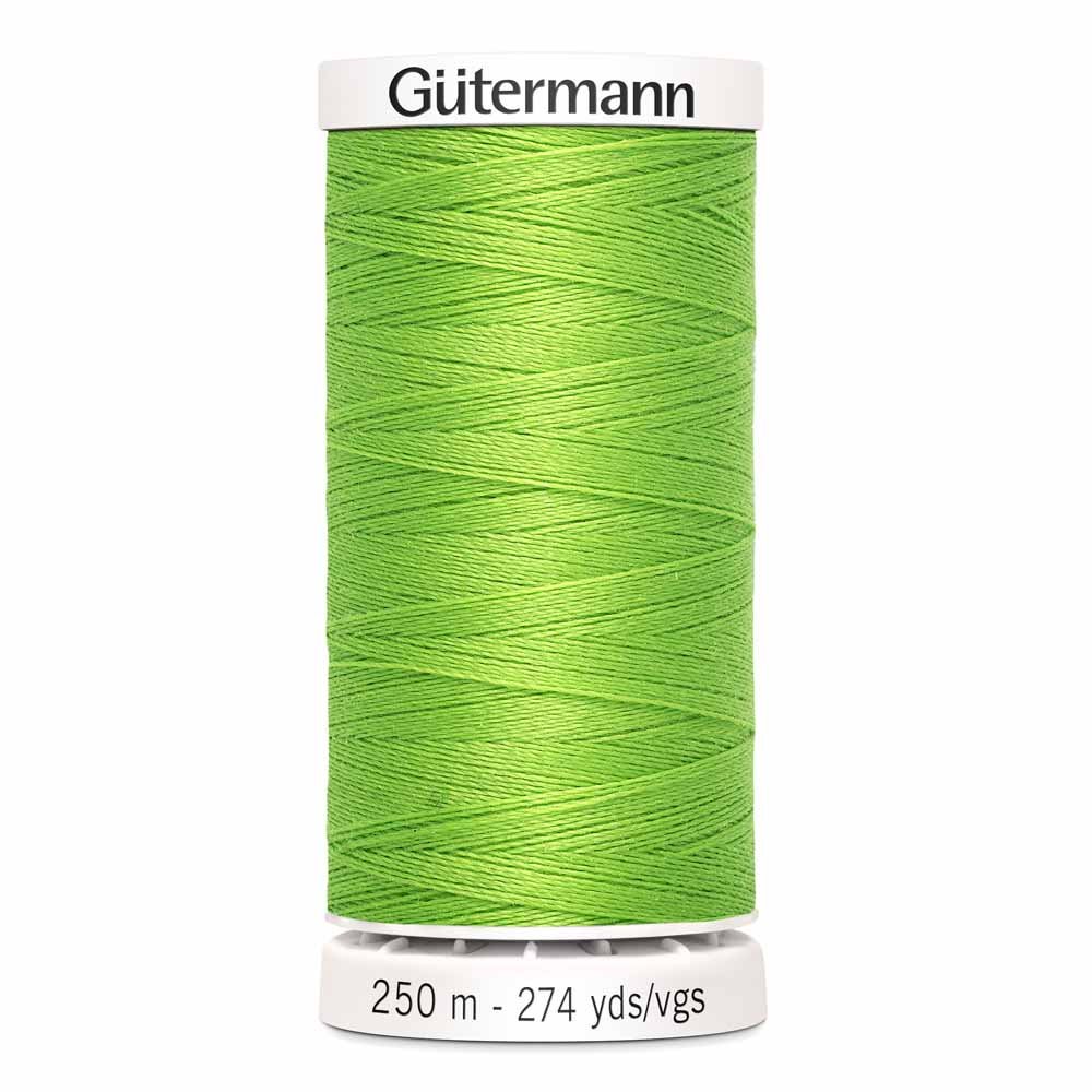 Gütermann250m Sew - all Thread 716 Spring GreenThread & Floss