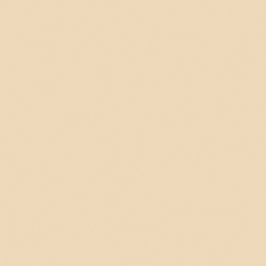 NorthcottColorWorks Premium Solids Quilt Fabric 313 BiscuitFabric