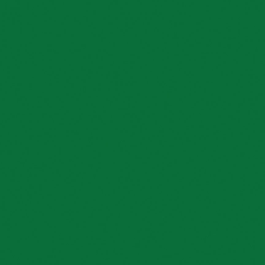 Colorworks Premium Solids Quilt Fabric Astro Turf | Northcott