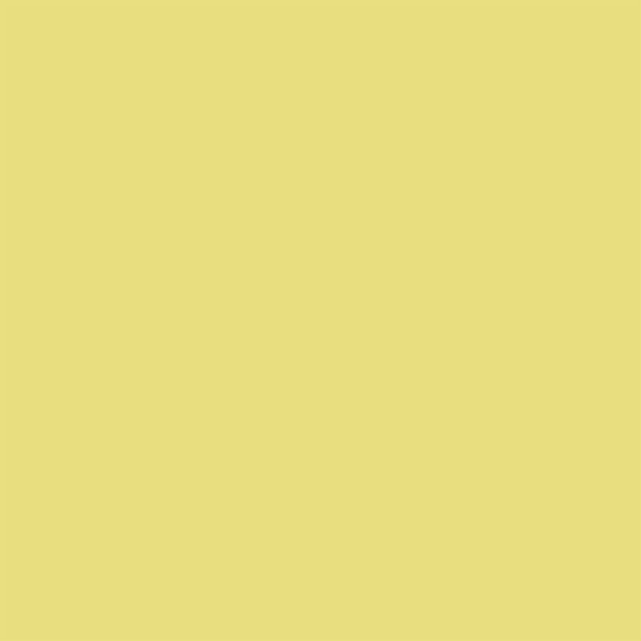 Colorworks Premium Solid Quilt Fabric Corn Husk | Northcott