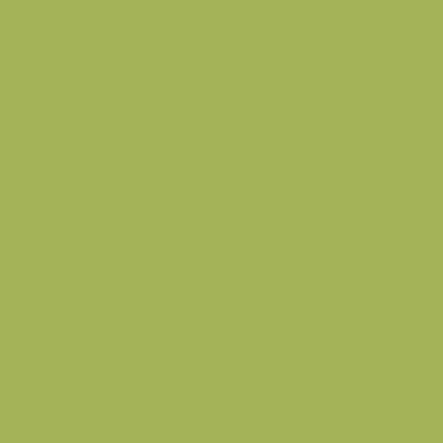 NorthcottColorWorks Premium Solids Quilt Fabric 741 KiwiFabric