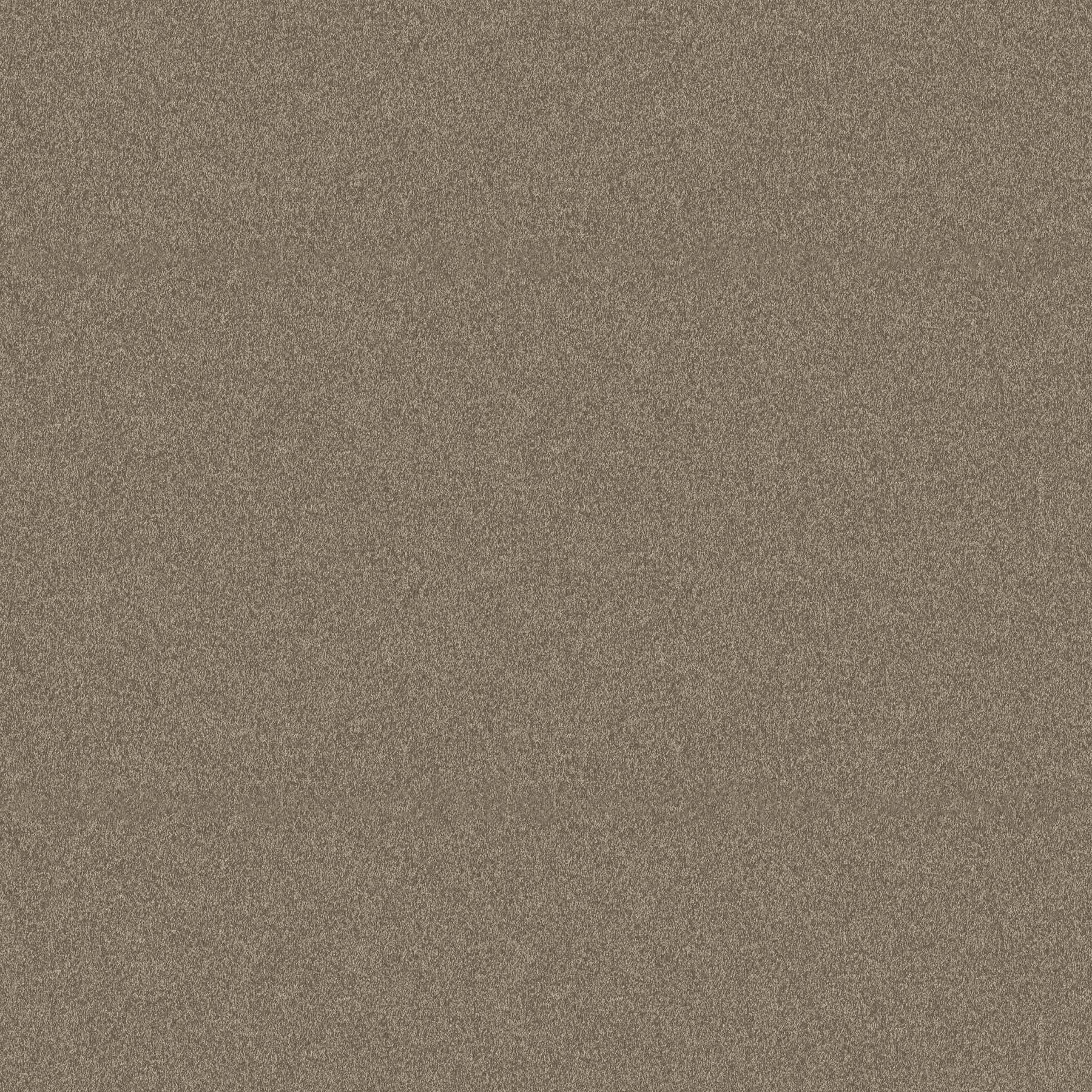 Warm And Cozy FLANNEL Texture Brown