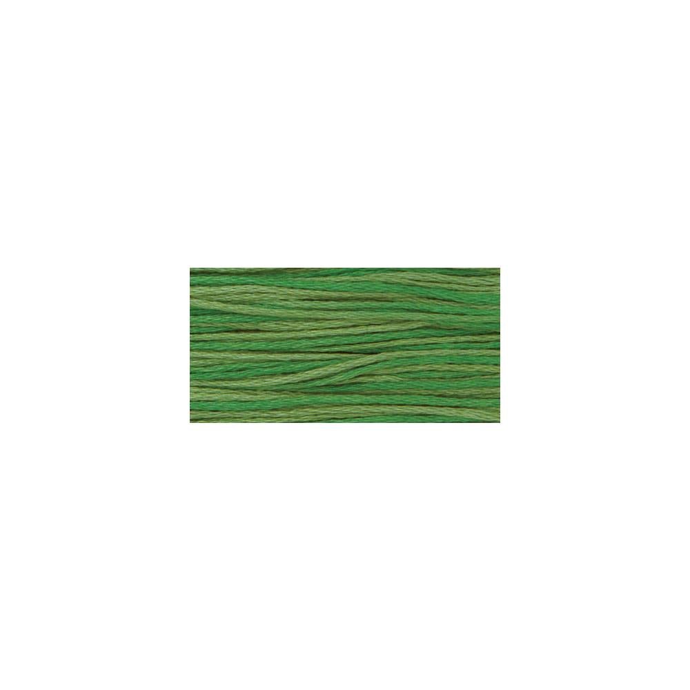 Weeks Dye Works6 - Strand Over - Dyed Embroidery Floss 2171 EmeraldThread & Floss