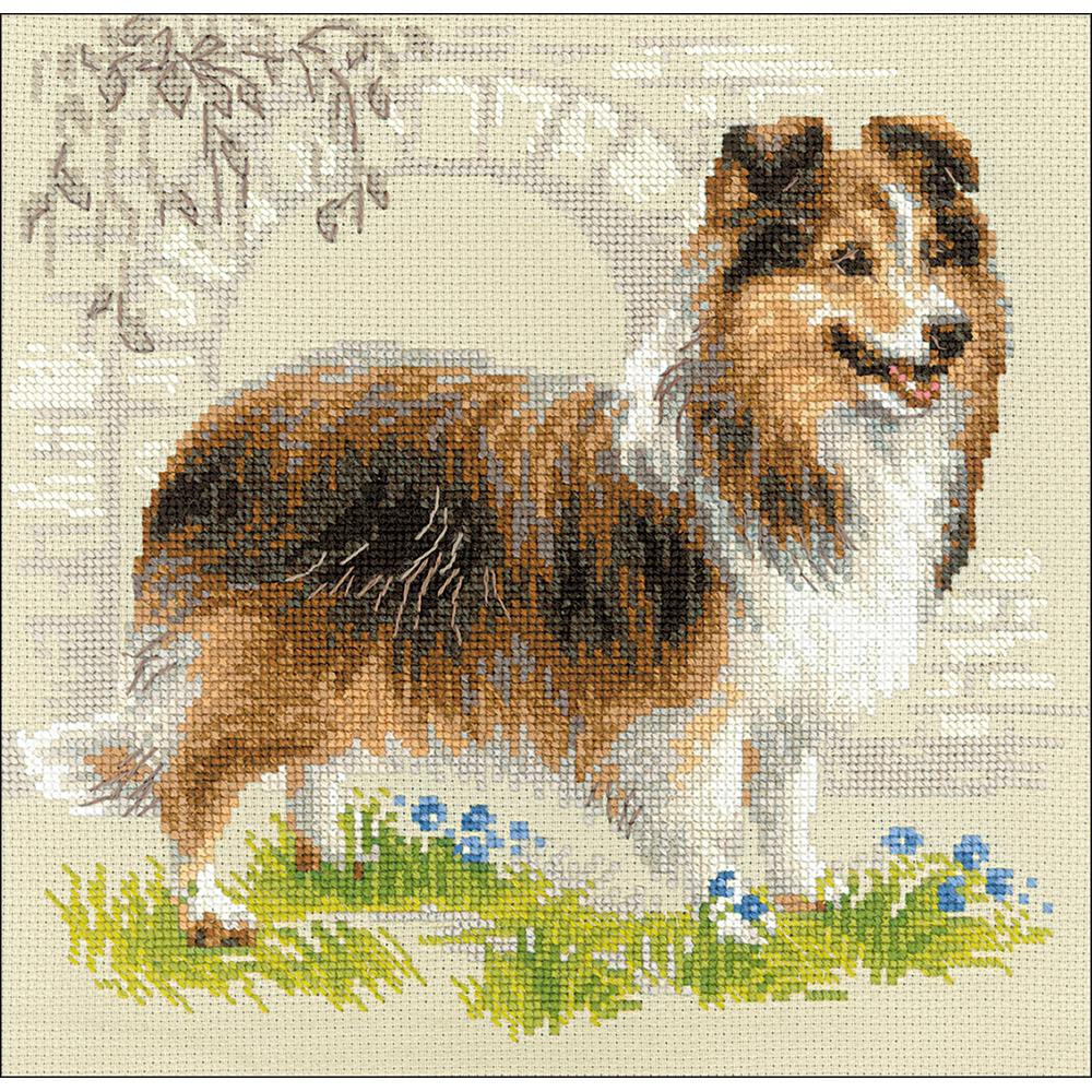 Sheltie Dog Counted Cross Stitch Kit 9¾in. x 9¾in. (5028291575853)