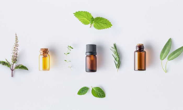 Aromatherapy Corner: Top Benefits of Essential Oils - Lindley General Store