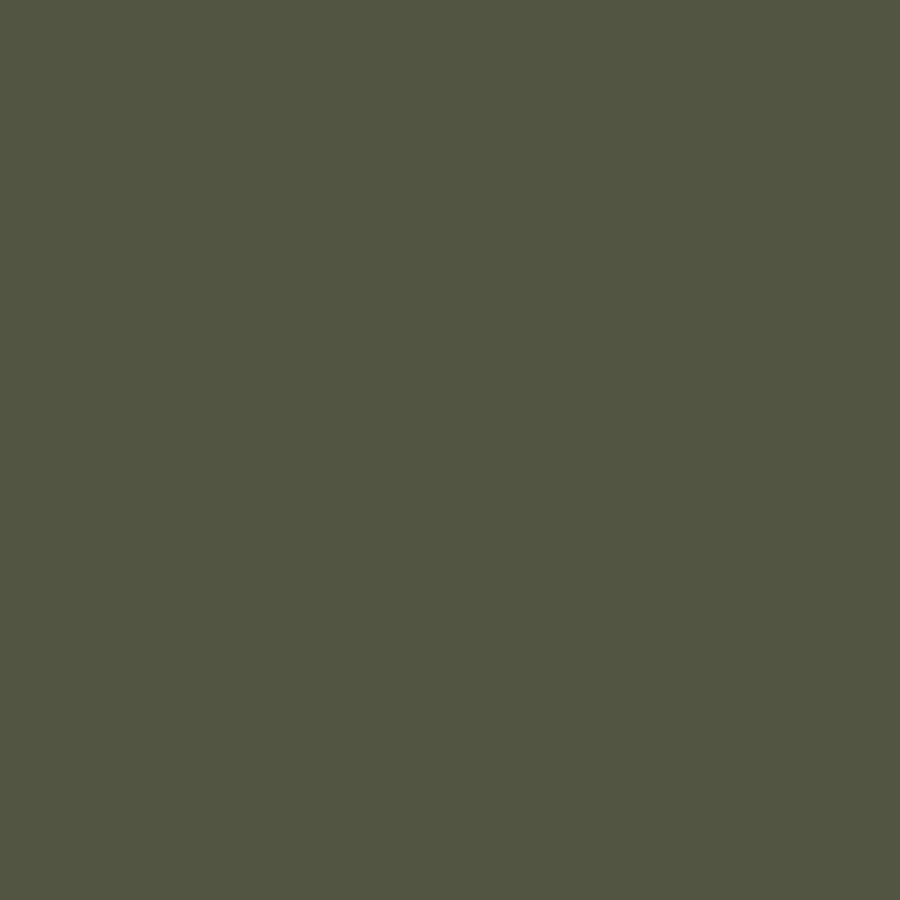 Colorworks Premium Solid Quilt Fabric Hickory | Northcott