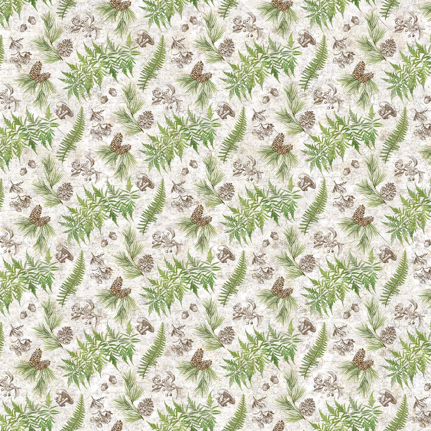 Tenderwood Fern and Toile Toss Cream