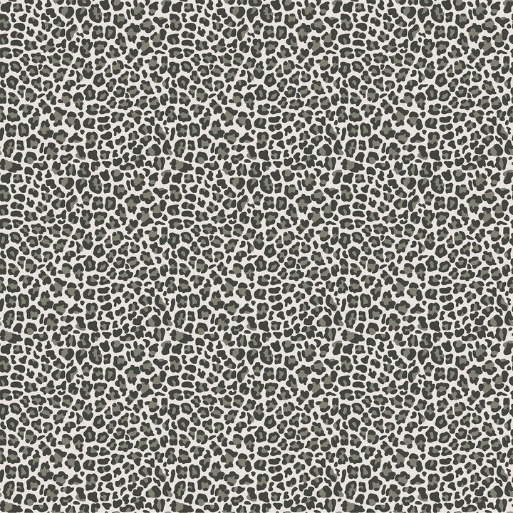 Baby Safari  Leopard Print Grey