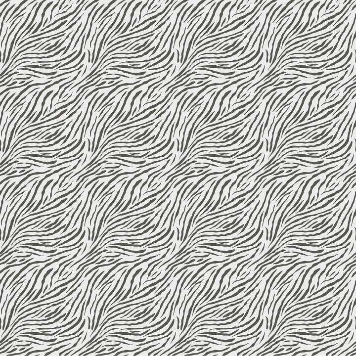 Baby Safari Zebra Print White