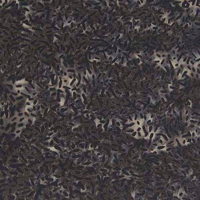 Ketan Batik Basics 980 Stormy Weather (532846936109)