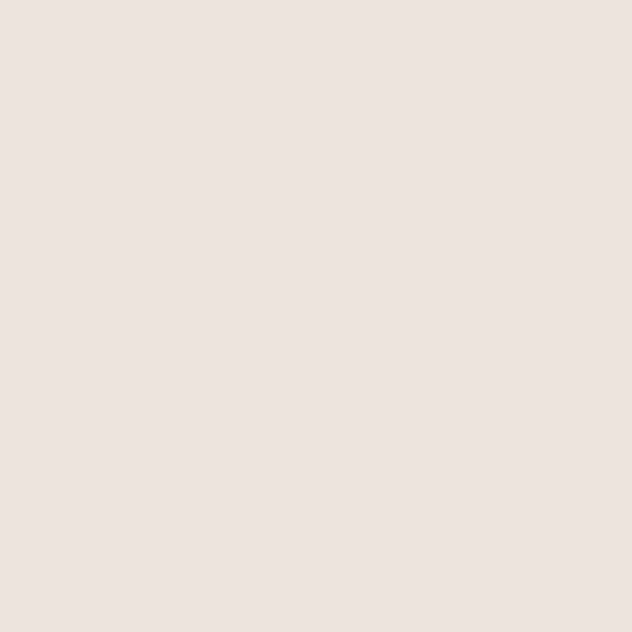 ColorWorks Premium Solids Quilt Fabric Mushroom | Northcott