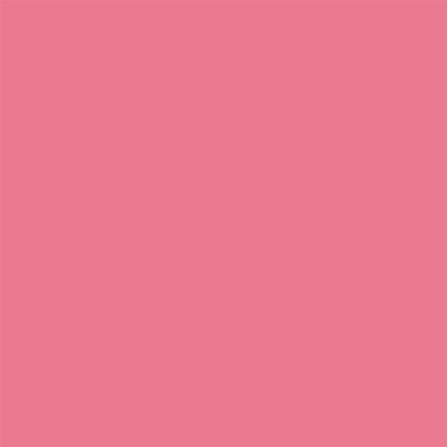 ColorWorks Premium Solids 206 Desert Rose (1528062738477)