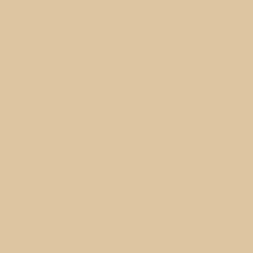 Colorworks Premium Solids Quilt Fabric Fawn | Northcott