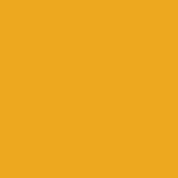 Colorworks Premium Solids Quilt Fabric Saffron | Northcott