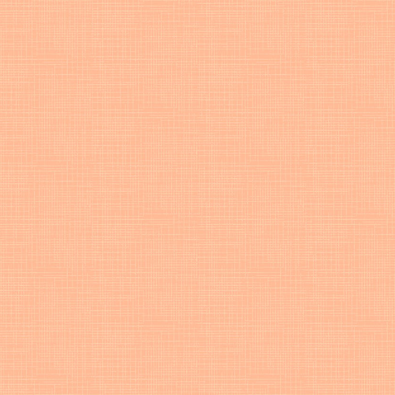 Dublin Basics 54 Peach Parfait (3948176048173)