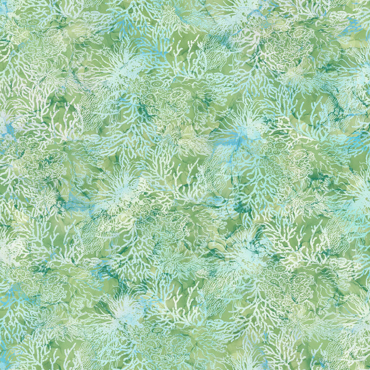 Whale Song Coral Lt Green