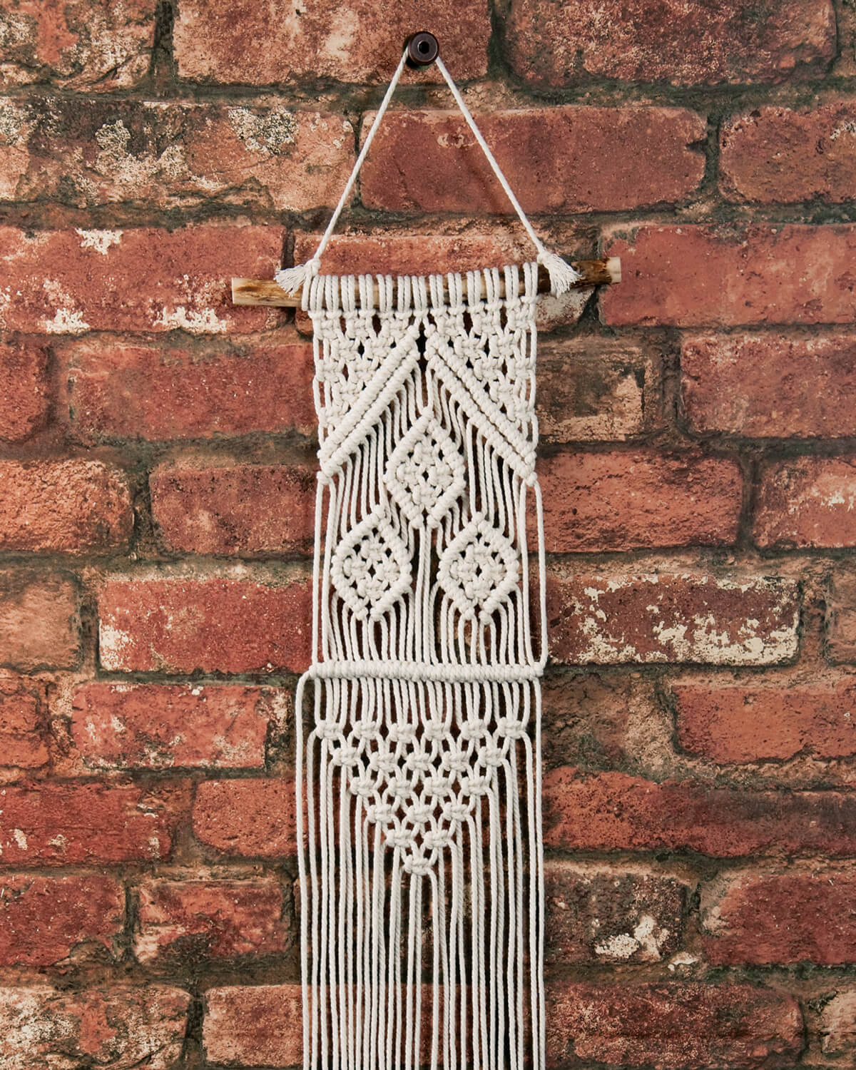 Three Leaves Small Macramé Wall Hanging Kit