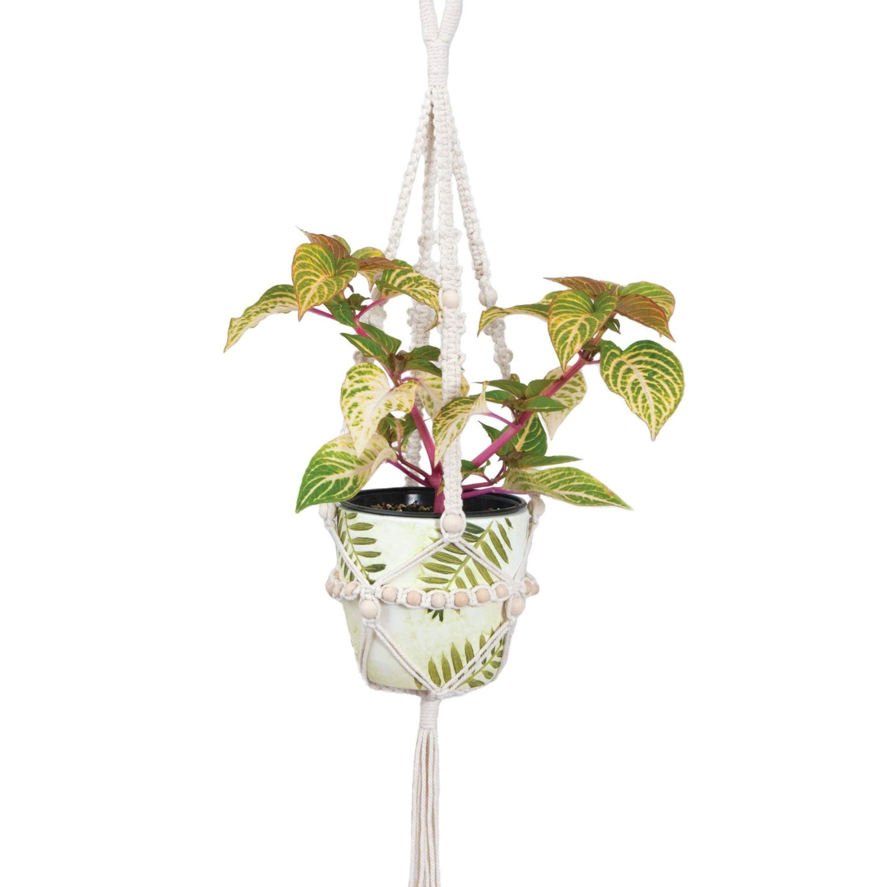 Large Beaded Plant Hanger (5900816875685)