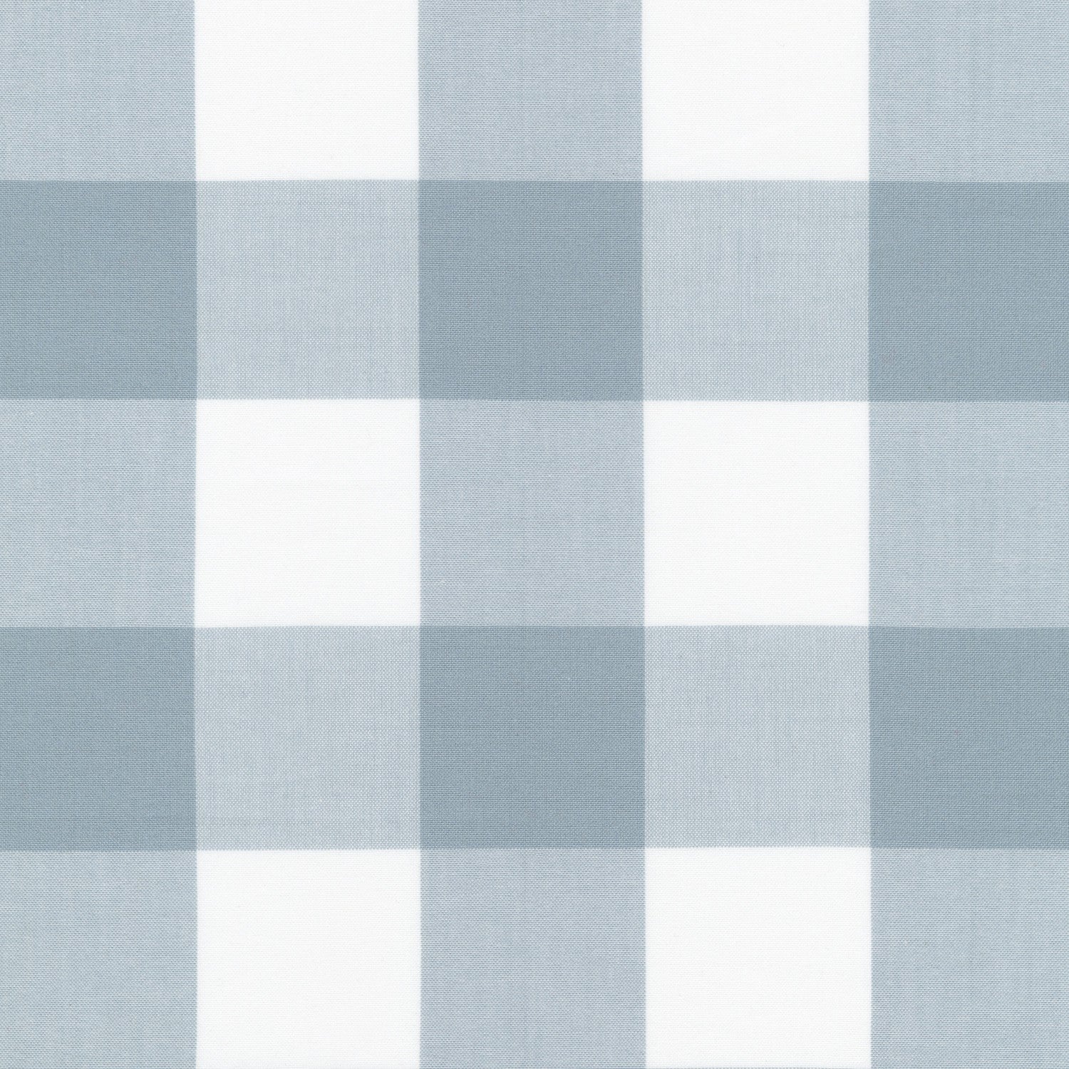 Carolina 2in. Gingham Platinum (5035952537645)